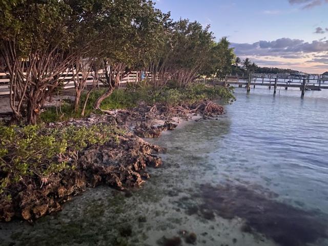 Bahia Bay Resort Key Largo Ngoại thất bức ảnh